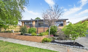 Dean M